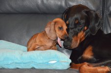 Juliana 4. den doma 7
