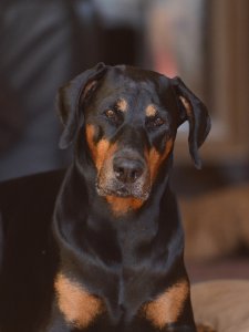 Gabby1