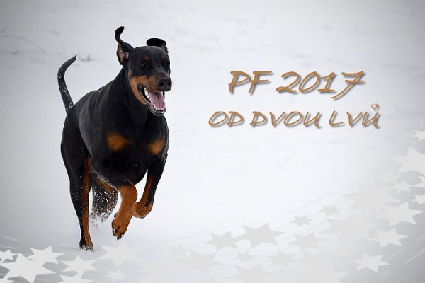 PF_2017
